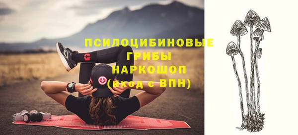 индика Вуктыл