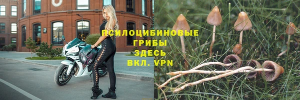 каннабис Верея