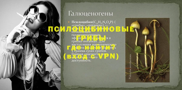 не бодяженный Богородицк