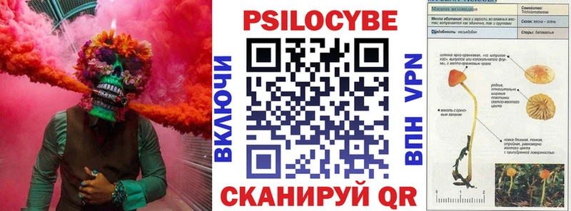 купить наркотик  Гаврилов-Ям  Псилоцибиновые грибы Psilocybe 